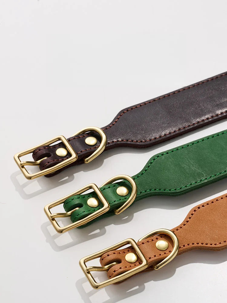 Side-by-side comparison of three collar colors